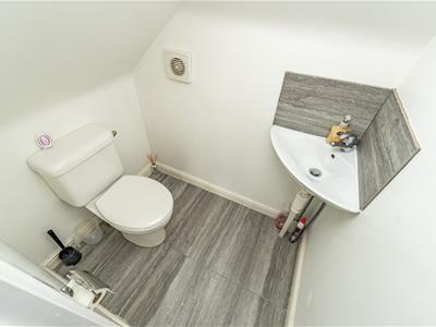 Picture 43